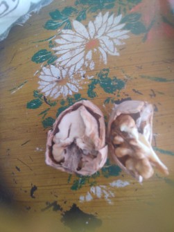 گردوی مغزسغید پرچرب امامه