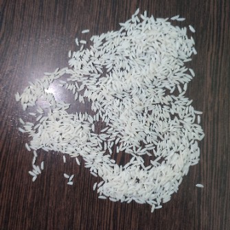 برنج هاشمی اصیل گیلان