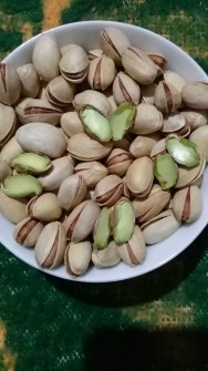 پسته بوئین زهرا