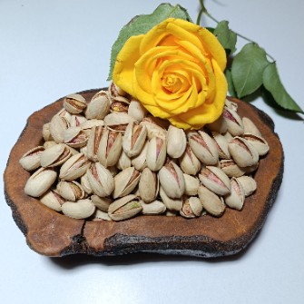 پسته اکبری دستوین