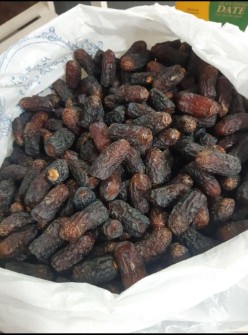 خرما مضافتی پیارم زاهدی کبکاب