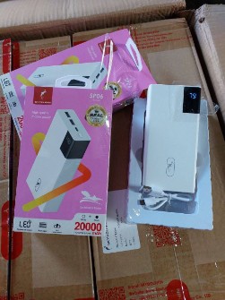 پاوربانک اورجینال شرکت دلفین