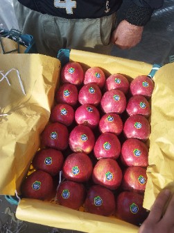 سیب سوپر مراغه قرمز زرد