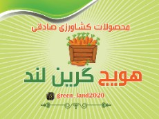 انواع هویج برای مصارف صادرات ،داخلی،صنعتی