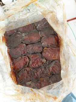 خرما کبکاب صادراتی بوشهر