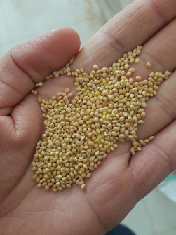 ارزن اصفهان