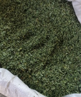 شنبلیله خشک صادراتی