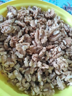 گردو تویسرکان