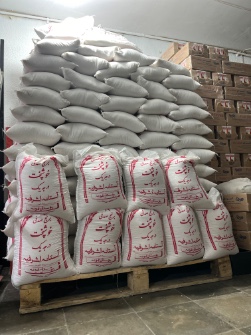 خوشپخت صدفی