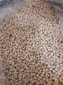 نخود کرمانشاه