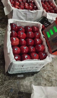 سیب قرمز و زرد