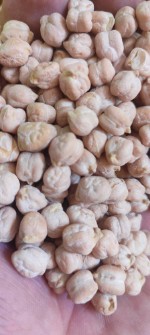 نخود کرمانشاه