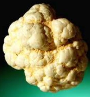 منیزیت گل کلمی