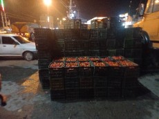 گوجه بدرو بروبیوو...