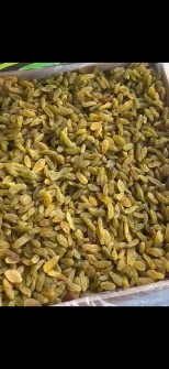 کشمش سبز  صادراتی کاشمر