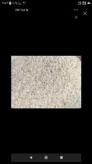 برنج هاشمی گیلان