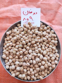 نخود کرمانشاه