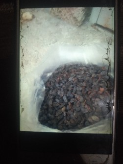 کشمش آفتابی