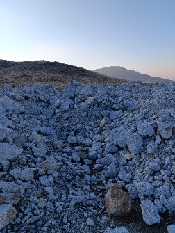 فلدسپات پتاسیک ممتاز