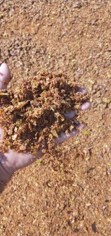 تفاله تر سیب فله