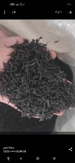 چای قلم لیزر خورده