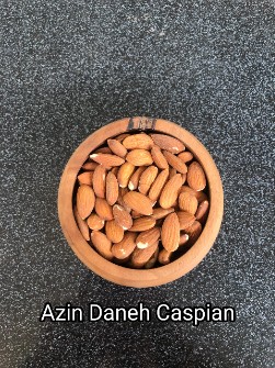 مغز بادام درختی زرین آمریکایی