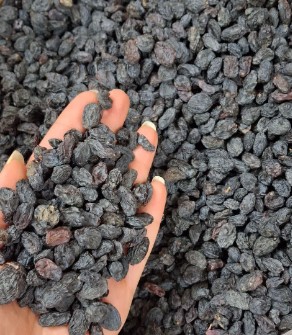 مویز ایرانی بدون هسته