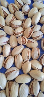 پسته احمدآقایی اکبری کله قوچی فندقی