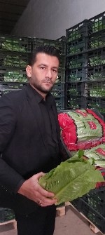 رومانو ،رسمی