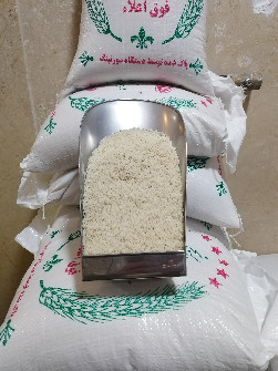 برنج طارم-هاشمی-فجر-شیرودی