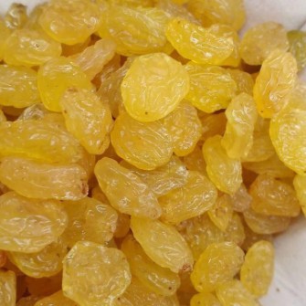 کشمش گلدن ملکان