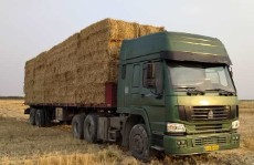 کلش انباری بسته بزرگ وکوچیک