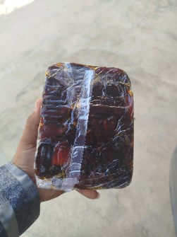 خرمای کبکاب استان بوشهر آبپخش