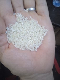 برنج عنبربو