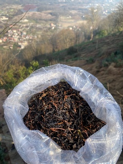 چای قلم قهوه خانه