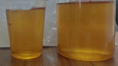 گلوکز گندم زرد رنگ