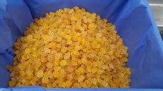 کشمش صادراتی گلدن درجه یک بناب