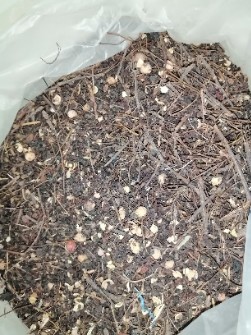 تفاله آلبالو