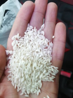 برنج عنبربو