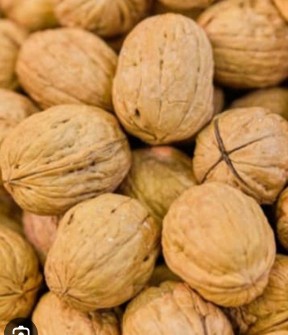 پوست کاغذی وسایر انواع