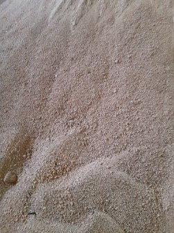 کنجاله سویا 45 درصد