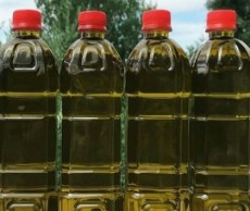 روغن زیتون بصورت عمده