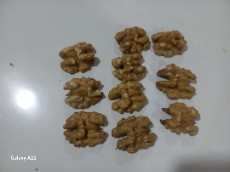انواع مختلف گردو یا مغز گردو درجه یک