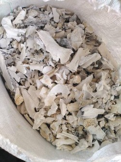 کلوخه استخوان پخته