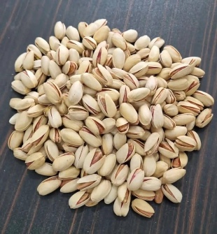 پسته کله قوچی-فندقی