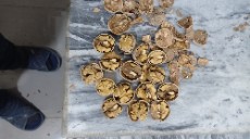 درجه یک پوست نازک