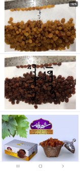 کشمش پلویی؛طلایی؛تیزاب